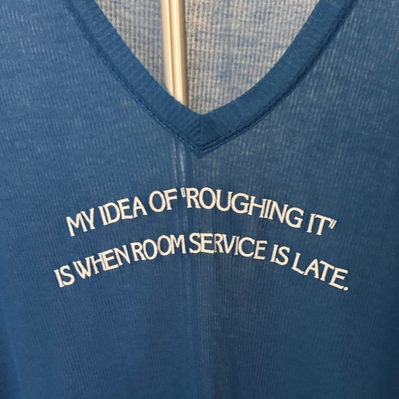 Wildfox Sheer Blue oversized puny Top - Picture 1 of 9